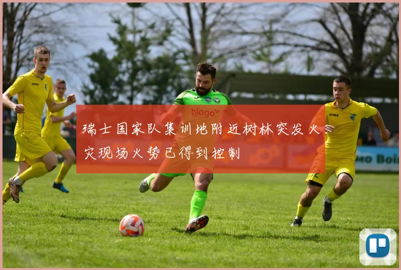 瑞士国家队集训地附近树林突发火灾现场火势已得到控制
