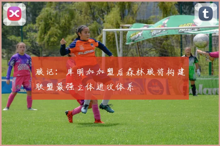 狼记：库明加加盟后森林狼将构建联盟最强立体进攻体系